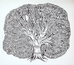 Razumny Family Tree, Possibly made in the USA, Gift of Janice and Marvin Epstein