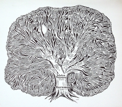 Razumny Family Tree, Possibly made in the USA, Gift of Janice and Marvin Epstein